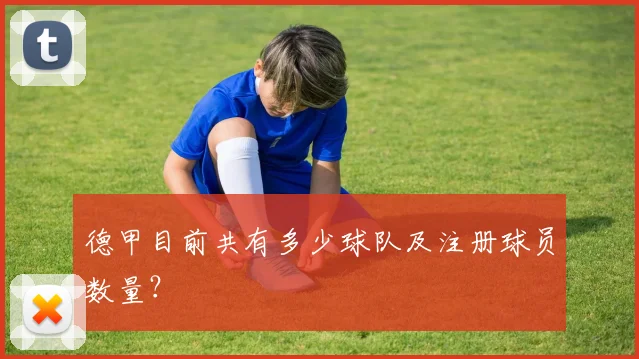 德甲目前共有多少球队及注册球员数量？