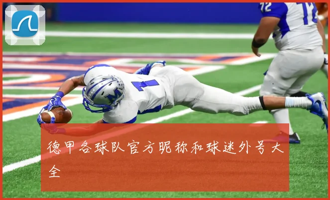 德甲各球队官方昵称和球迷外号大全