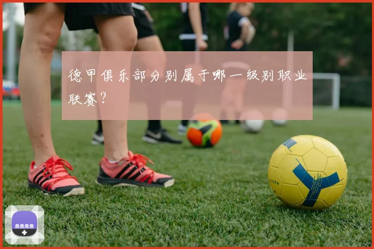 德甲俱乐部分别属于哪一级别职业联赛？