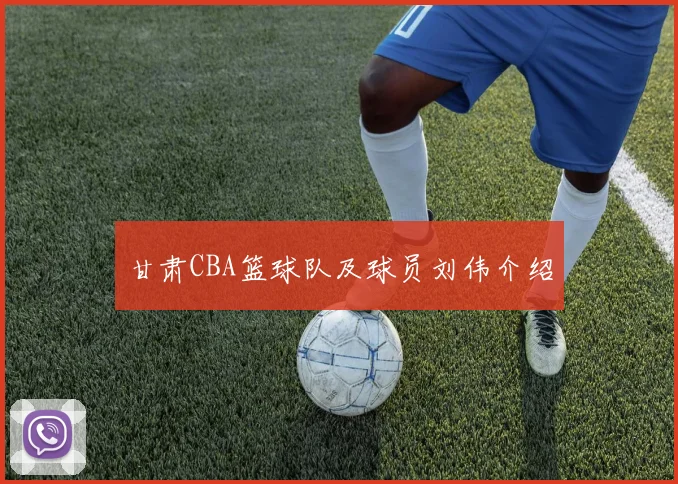 甘肃CBA篮球队及球员刘伟介绍