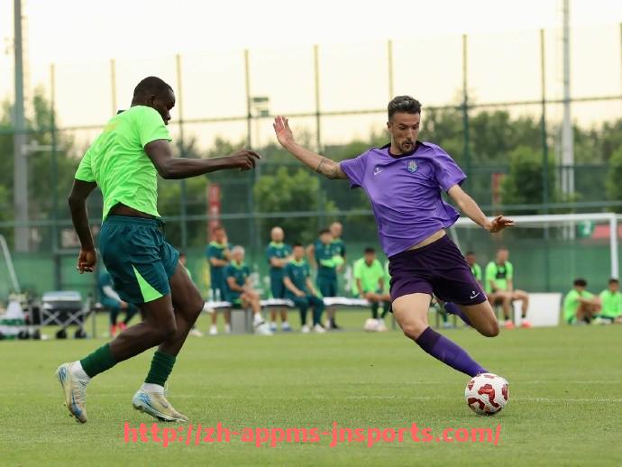 江南体育APP-意甲球队赛季最多进球纪录及进攻特点分析